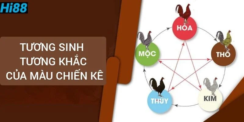 Bảng màu mạng gà đá theo ngày ngũ hành gà đá chuẩn 2 tuong-sinh-tuong-khac-cua-mau-chien-ke
