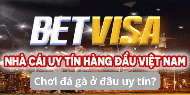 Những loại vảy gà xấu dân chơi đá gà nên tránh 3 choi-da-ga-o-dau-uy-tin