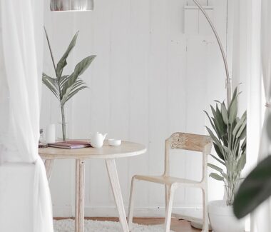 plant-4243898_1280